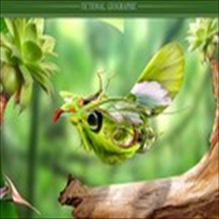 Free Download Fantasy 937 Wallpaper HD FREE (Download 937 HD wallpaper FREE)