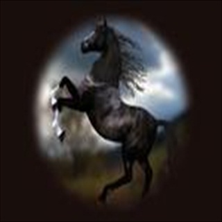 Free Download Fantasy 1008 Wallpaper HD FREE (Download 1008 HD wallpaper FREE)
