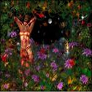 Free Download Fantasy 329 Wallpaper HD FREE (Download 329 HD wallpaper FREE)
