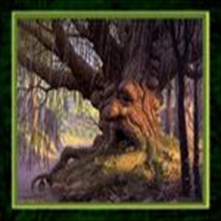 Free Download Fantasy 454 Wallpaper HD FREE (Download 454 HD wallpaper FREE)