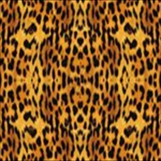 Free Download Texture 221 Wallpaper HD FREE (Download 221 HD wallpaper FREE)