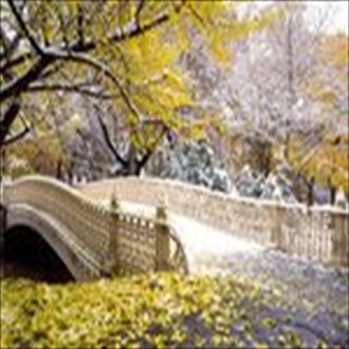 Free Download Bridges 198 Wallpaper HD FREE (Download 198 HD wallpaper FREE)