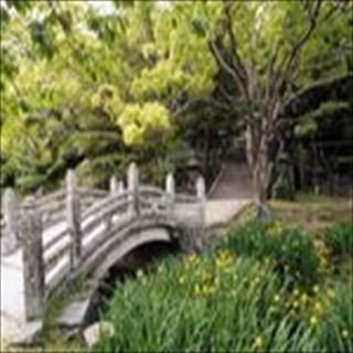 Free Download Bridges 219 Wallpaper HD FREE (Download 219 HD wallpaper FREE)