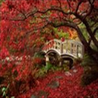 Free Download Bridges 329 Wallpaper HD FREE (Download 329 HD wallpaper FREE)