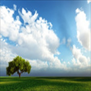 Free Download Fields 209 Wallpaper HD FREE (Download 209 HD wallpaper FREE)