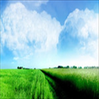 Free Download Fields 260 Wallpaper HD FREE (Download 260 HD wallpaper FREE)