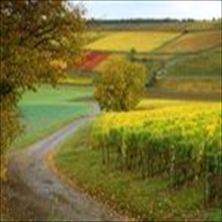 Free Download Fields 152 Wallpaper HD FREE (Download 152 HD wallpaper FREE)