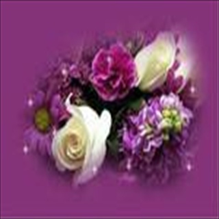 Free Download Flowers 1060 Wallpaper HD FREE (Download 1060 HD wallpaper FREE)