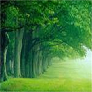 Free Download Forces Of Nature 214 Wallpaper HD FREE (Download 214 HD wallpaper FREE)