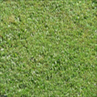 Free Download Grass 208 Wallpaper HD FREE (Download 208 HD wallpaper FREE)