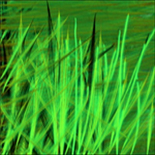 Free Download Grass 276 Wallpaper HD FREE (Download 276 HD wallpaper FREE)