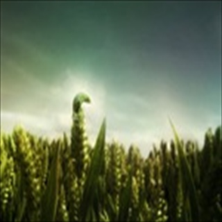 Free Download Grass 774 Wallpaper HD FREE (Download 774 HD wallpaper FREE)