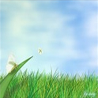 Free Download Grass 243 Wallpaper HD FREE (Download 243 HD wallpaper FREE)