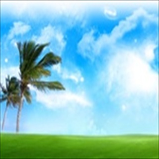 Free Download Grass 1036 Wallpaper HD FREE (Download 1036 HD wallpaper FREE)