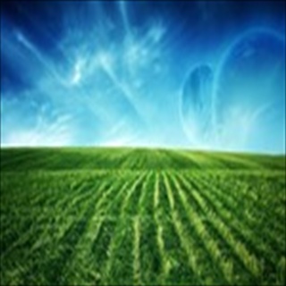 Free Download Grass 731 Wallpaper HD FREE (Download 731 HD wallpaper FREE)
