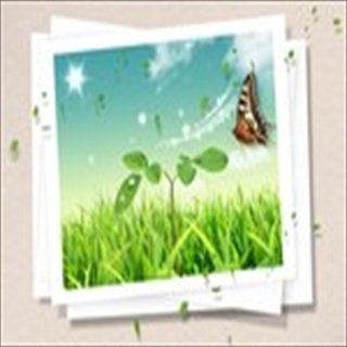 Free Download Grass 1054 Wallpaper HD FREE (Download 1054 HD wallpaper FREE)