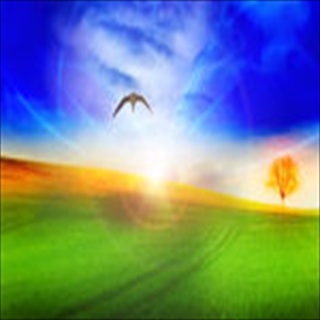 Free Download Grass 276 Wallpaper HD FREE (Download 276 HD wallpaper FREE)