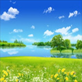 Free Download Grass 184 Wallpaper HD FREE (Download 184 HD wallpaper FREE)