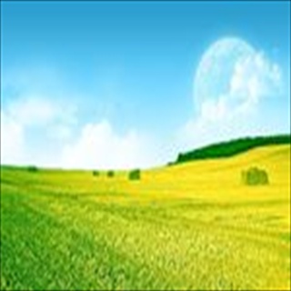 Free Download Grass 842 Wallpaper HD FREE (Download 842 HD wallpaper FREE)