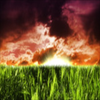 Free Download Grass 451 Wallpaper HD FREE (Download 451 HD wallpaper FREE)
