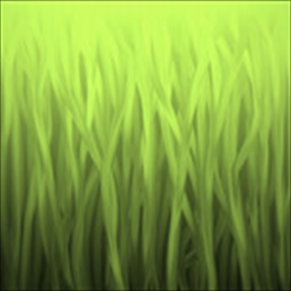 Free Download Grass 215 Wallpaper HD FREE (Download 215 HD wallpaper FREE)