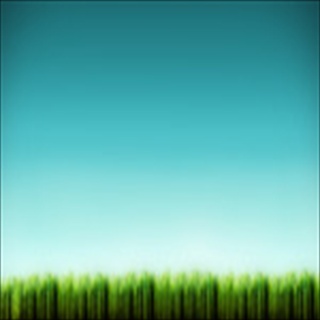 Free Download Grass 228 Wallpaper HD FREE (Download 228 HD wallpaper FREE)