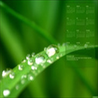 Free Download Grass 451 Wallpaper HD FREE (Download 451 HD wallpaper FREE)