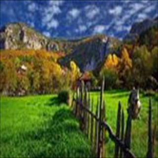 Free Download Grass 221 Wallpaper HD FREE (Download 221 HD wallpaper FREE)