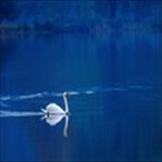 Free Download Lakes 276 Wallpaper HD FREE (Download 276 HD wallpaper FREE)