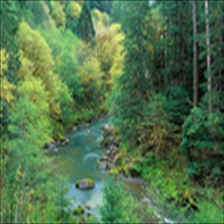Free Download Rivers 1033 Wallpaper HD FREE (Download 1033 HD wallpaper FREE)