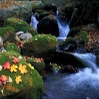 Free Download Rivers 206 Wallpaper HD FREE (Download 206 HD wallpaper FREE)