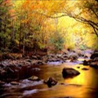 Free Download Rivers 914 Wallpaper HD FREE (Download 914 HD wallpaper FREE)