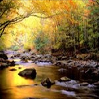 Free Download Rivers 1031 Wallpaper HD FREE (Download 1031 HD wallpaper FREE)