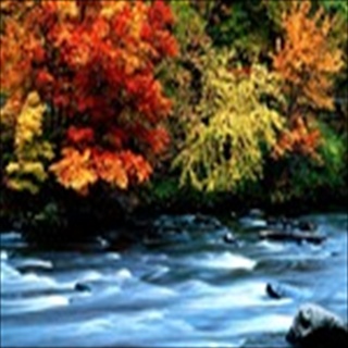 Free Download Rivers 1031 Wallpaper HD FREE (Download 1031 HD wallpaper FREE)