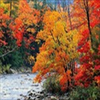 Free Download Rivers 841 Wallpaper HD FREE (Download 841 HD wallpaper FREE)