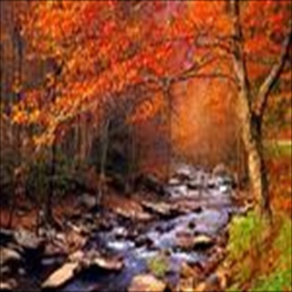 Free Download Rivers 257 Wallpaper HD FREE (Download 257 HD wallpaper FREE)