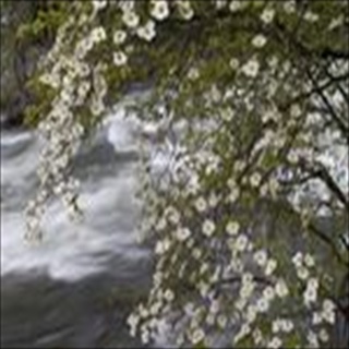 Free Download Rivers 234 Wallpaper HD FREE (Download 234 HD wallpaper FREE)