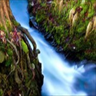 Free Download Rivers 843 Wallpaper HD FREE (Download 843 HD wallpaper FREE)