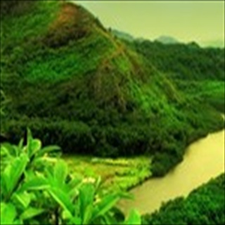 Free Download Rivers 206 Wallpaper HD FREE (Download 206 HD wallpaper FREE)