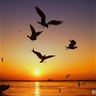 Free Download Sunset 192 Wallpaper HD FREE (Download 192 HD wallpaper FREE)