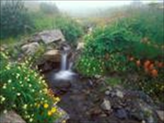 Free Download Waterfalls 167 Wallpaper HD FREE (Download 167 HD wallpaper FREE)