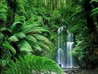 Download Waterfalls Wallpaper HD FREE