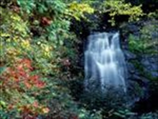 Download Waterfalls Wallpaper HD FREE