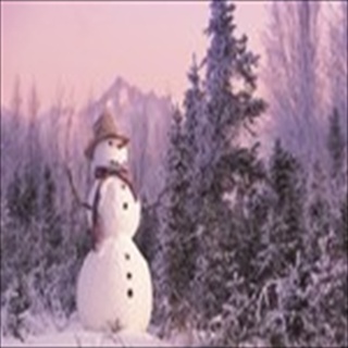 Free Download Winter 1039 Wallpaper HD FREE (Download 1039 HD wallpaper FREE)