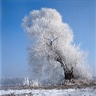 Free Download Winter 832 Wallpaper HD FREE (Download 832 HD wallpaper FREE)
