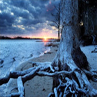 Download Winter Wallpaper HD FREE